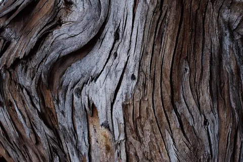Fond d'écran Grain du bois 4K · minimal · 3840×2558