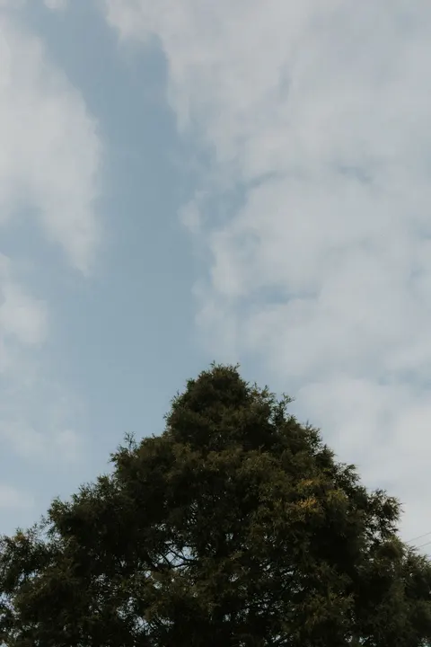 Anime Sky Phone Wallpaper · illustration · 1440×2160