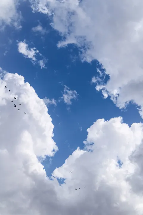 Anime Sky Phone Wallpaper · illustration · 1440×2160