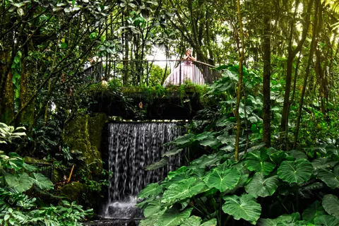 Rainforest Waterfall 4K Wallpaper · nature · 3840×2560