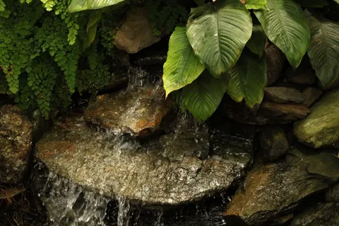 Rainforest Waterfall 4K Wallpaper · nature · 3840×2560