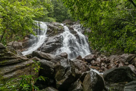 Rainforest Waterfall 4K Wallpaper · nature · 3840×2560