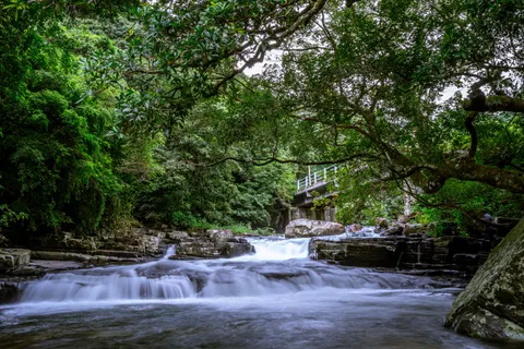 열대우림 폭포 4K 배경화면 · nature · 3840×2560