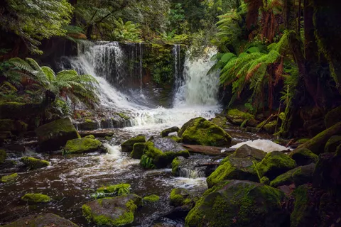 Regenwald-Wasserfall 4K Hintergrundbild · nature · 3840×2560