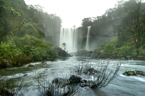 Rainforest Waterfall 4K Wallpaper · nature · 3840×2560