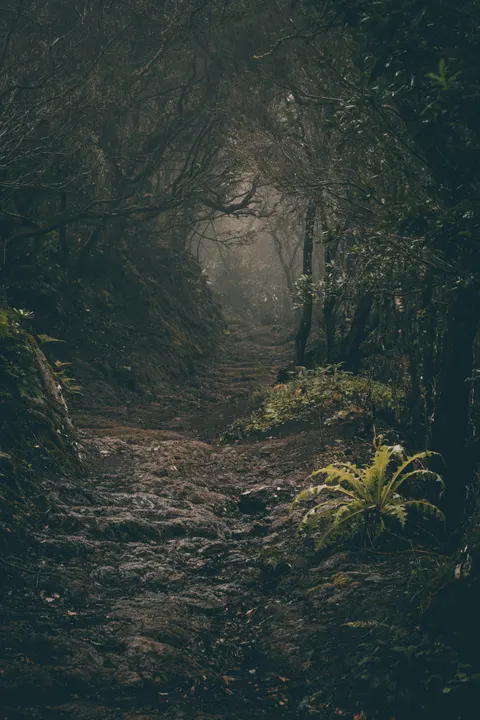 Fantasy Scene Phone Wallpaper · illustration · 1440×2160