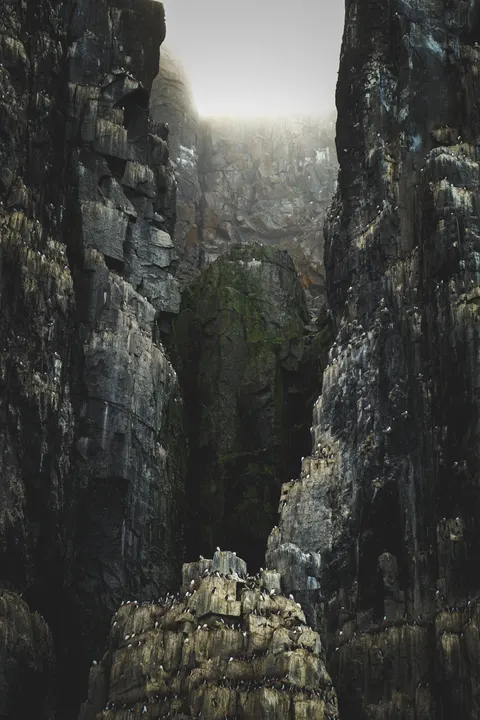 Fantasy Scene Phone Wallpaper · illustration · 1440×2160