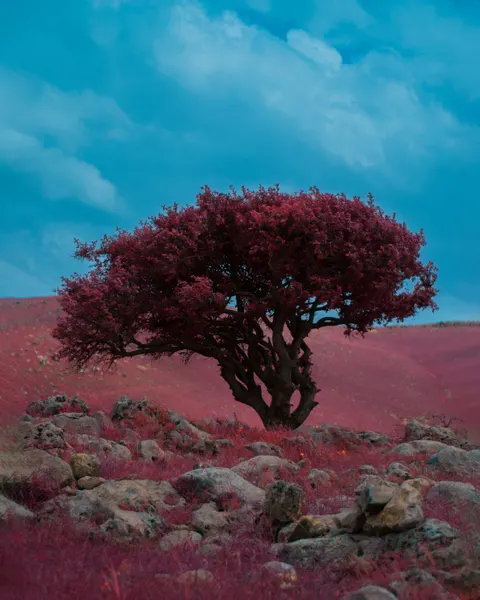 Fantasy Scene Phone Wallpaper · illustration · 1440×1800