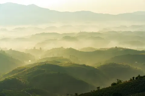 خلفية تلال خضراء بدقة 4K · nature · 3840×2560