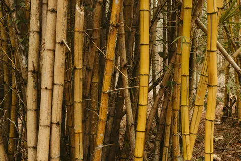 خلفية طبيعة بدقة 4K · nature · 3840×2562
