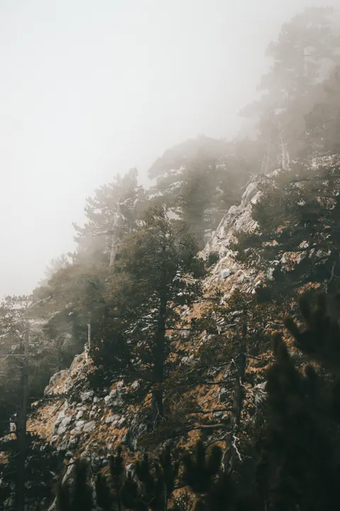 Fantasy Scene Phone Wallpaper · illustration · 1440×2160