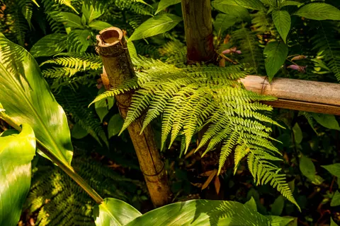 Natur 4K Hintergrundbild · nature · 3840×2560