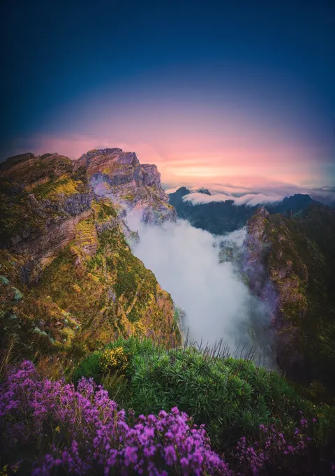 Fantasy Scene Phone Wallpaper · illustration · 1440×2041