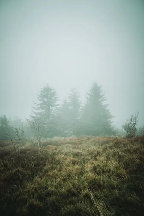 Fantasy Scene Phone Wallpaper · illustration · 1440×2159