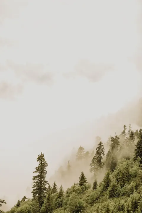 Fantasy Scene Phone Wallpaper · illustration · 1440×2160