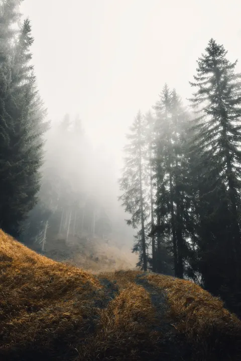 Fantasy Scene Phone Wallpaper · illustration · 1440×2160