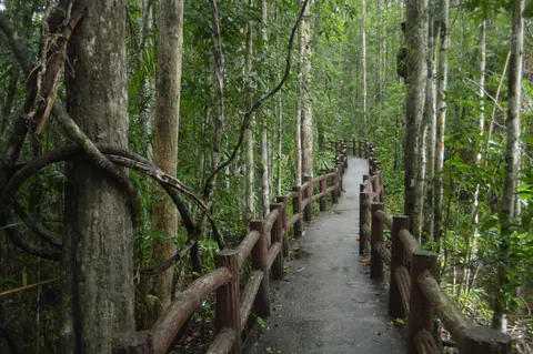 Bamboo Forest 4K Wallpaper · nature · 3840×2553