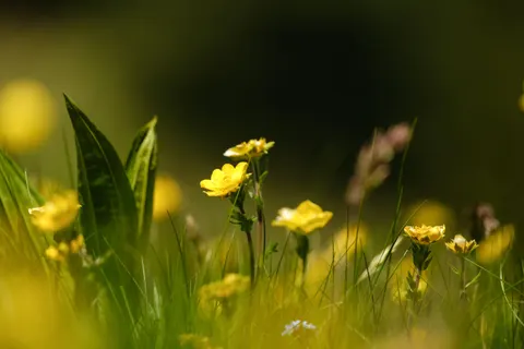 自然 4K壁紙 · nature · 3840×2560