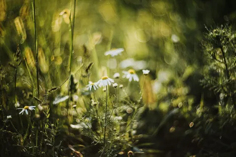 Natur 4K Hintergrundbild · nature · 3840×2560