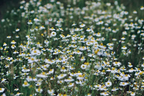 Natur 4K Hintergrundbild · nature · 3840×2560