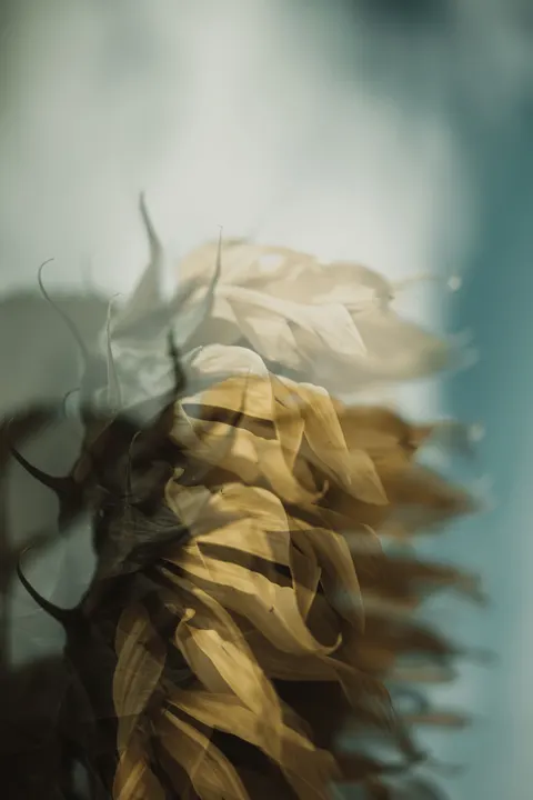 Surreal Dream Phone Wallpaper · illustration · 1440×2160