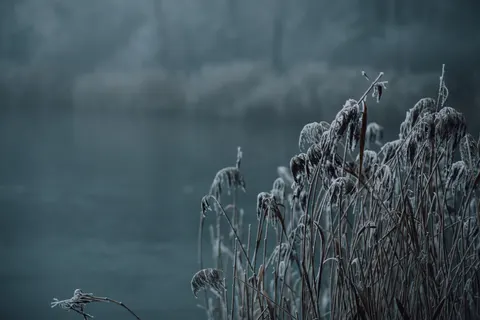 자연 4K 배경화면 · nature · 3840×2560
