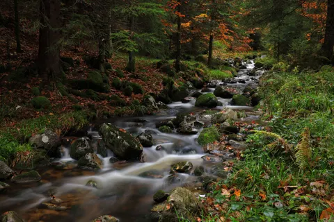 Fond d'écran Ruisseau forestier 4K · nature · 3840×2560