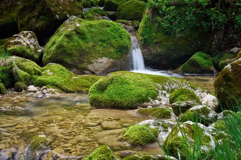 Forest Stream 4K Wallpaper · nature · 3840×2560