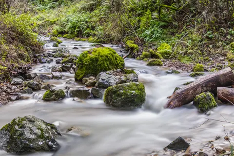 森林溪流 4K桌布 · nature · 3840×2560