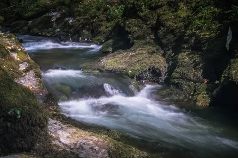 Forest Stream 4K Wallpaper · nature · 3840×2553