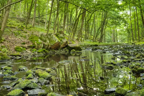 森林溪流 4K桌布 · nature · 3840×2560