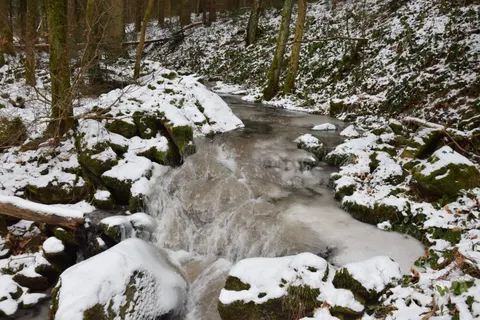 Forest Stream 4K Wallpaper · nature · 3840×2560