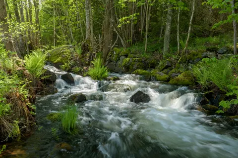 Forest Stream 4K Wallpaper · nature · 3840×2563