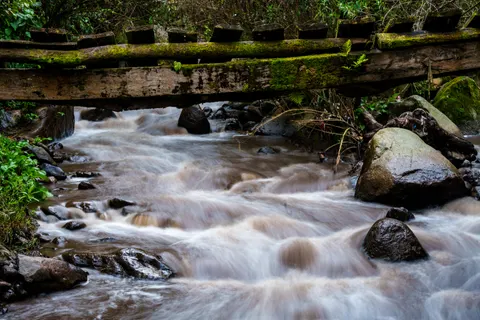 Forest Stream 4K Wallpaper · nature · 3840×2560