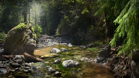 숲속 개울 4K 배경화면 · nature · 3840×2173