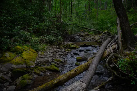 Natur 4K Hintergrundbild · nature · 3840×2560