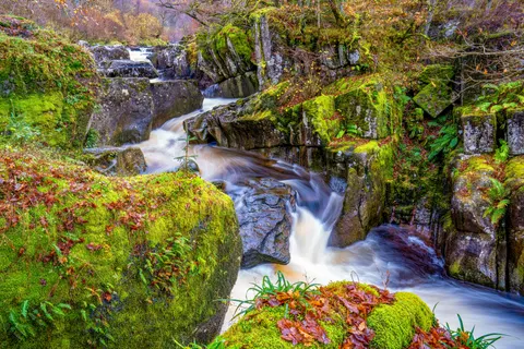 Forest Stream 4K Wallpaper · nature · 3840×2560