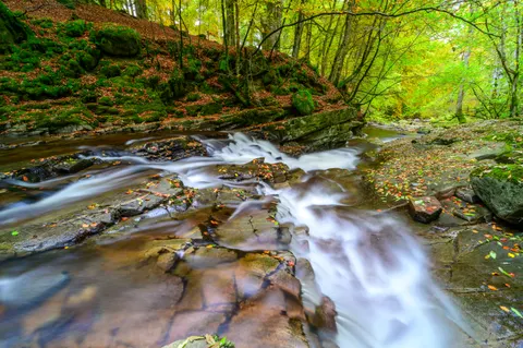 Wallpaper Aliran Sungai Hutan 4K · nature · 3840×2555