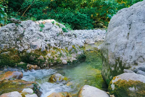 Waldbach 4K Hintergrundbild · nature · 3840×2563