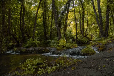 Forest Stream 4K Wallpaper · nature · 3840×2560