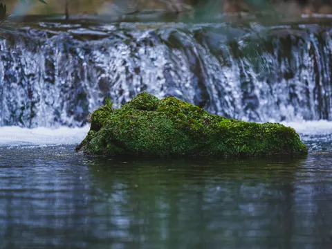 Forest Stream 4K Wallpaper · nature · 3840×2880