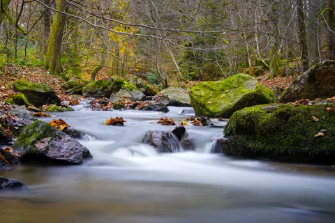 Papel de parede Natureza 4K · nature · 3840×2561