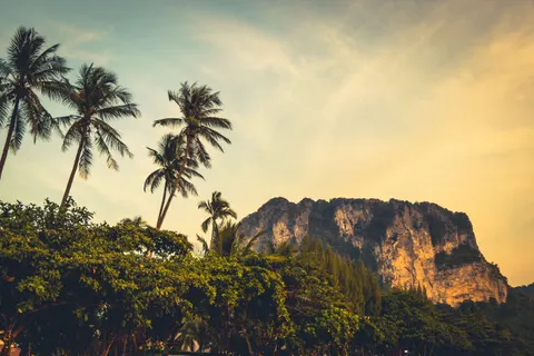 Palm Beach Sunset 4K Wallpaper · nature · 3840×2560