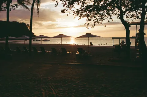 Fond d'écran Coucher de soleil sur plage de palmiers 4K · nature · 3840×2547