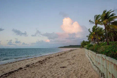Palm Beach Sunset 4K Wallpaper · nature · 3840×2560