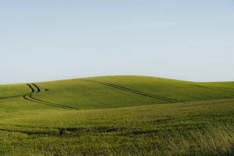 绿色山丘 4K壁纸 · nature · 3840×2560