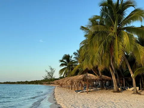 Palm Beach Sunset 4K Wallpaper · nature · 3840×2880