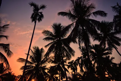 Palm Beach Sunset 4K Wallpaper · nature · 3840×2560