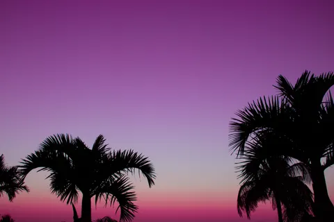 Sonnenuntergang am Palmenstrand 4K Hintergrundbild · nature · 3840×2560