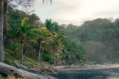 Papel de parede Pôr do sol na praia de palmeiras 4K · nature · 3840×2561